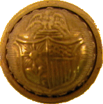 New York State Button
