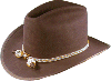 Slouch Hat Inset