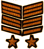 CS Officers Collar Insignia