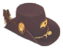 Civil War Hardee Hat Icon